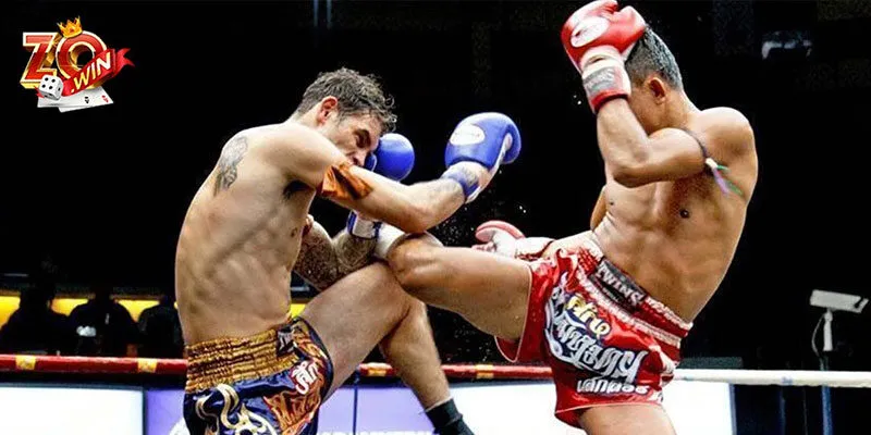 Chiến lược cá cược boxing