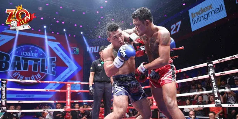 Hướng Dẫn Cá Cược Boxing Online: Chiến Lược Thắng Lớn